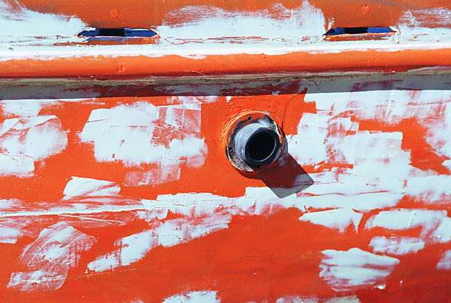 Oeil de coque